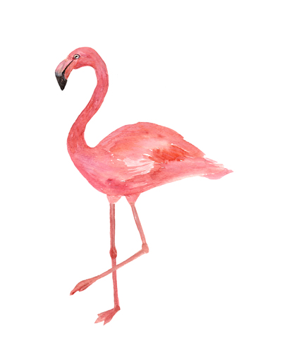 Flamingo_1_8x10